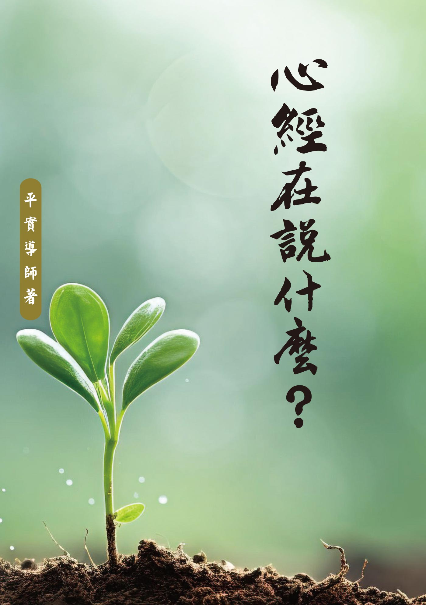心經在說什麼?